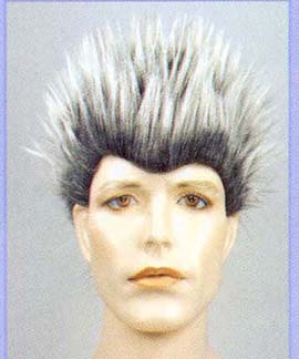 Porcupine Wig            