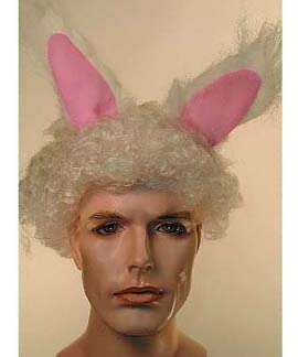 Rabbit Wig               