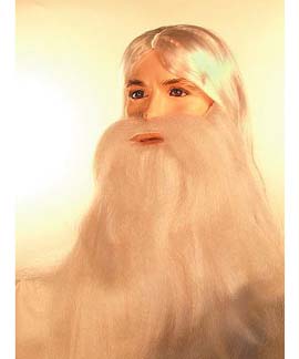 Wizard Wig & Beard Set   