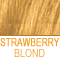 Pale Cinnamon shade - lightened to a blond                  