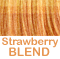 Rust blond body - buterscotch blond hightlights - red/blond 